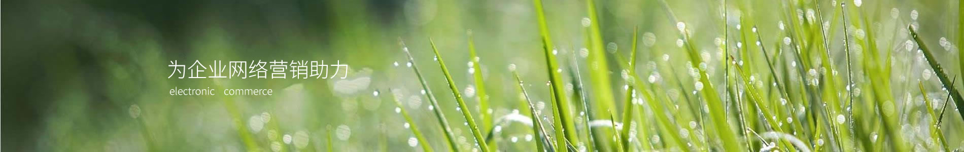 ݼʱ޹˾